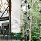 Illustration for article titled The Boy Scouts Educational Treehouse Looks Just Like an Ewok Village